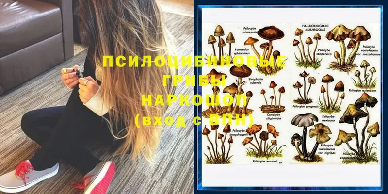 Галлюциногенные грибы Psilocybine cubensis  MEGA зеркало  Карпинск  где купить наркотик 